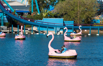 seaworld orlando orlandohoppers