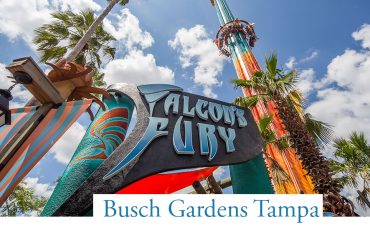 Busch Gardens Tampa Orlandohoppers Com