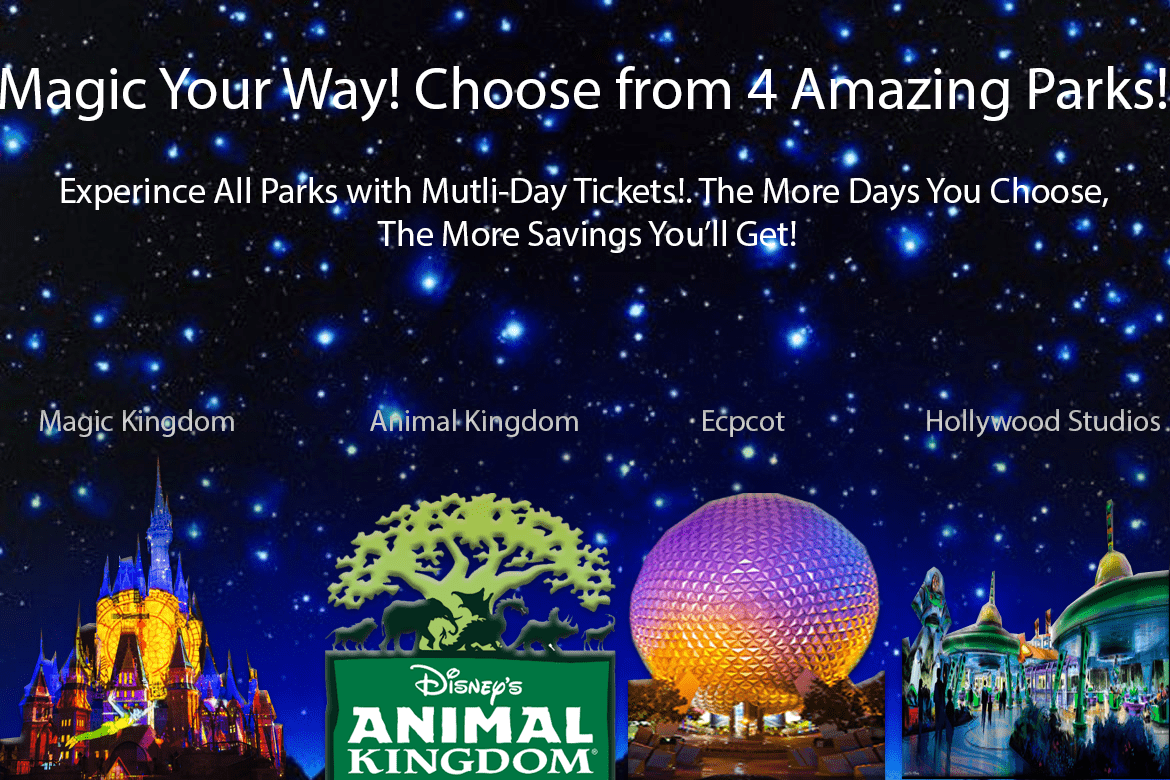 Magic Your way Tickets! 1 Day All Guests Tickets